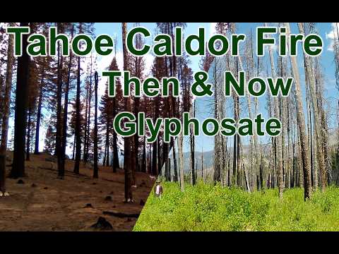 Then and Now Glyphosate thumbnail