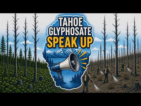 Speak up for Tahoe thumbnail
